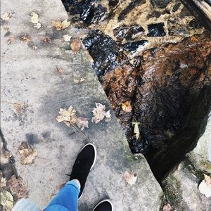 Meet your Posher, Daphnie